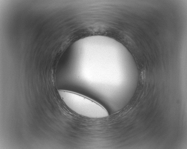 X0000067330963200603310854