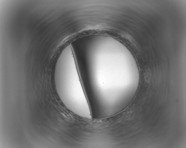X0000067330968200603310854