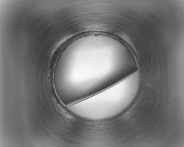 X0000067330971200603310854