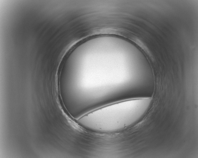 X0000067330988200603310854