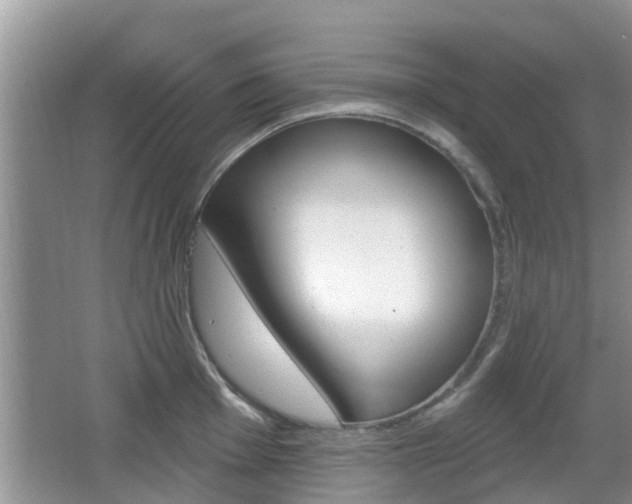 X0000067331001200603310854