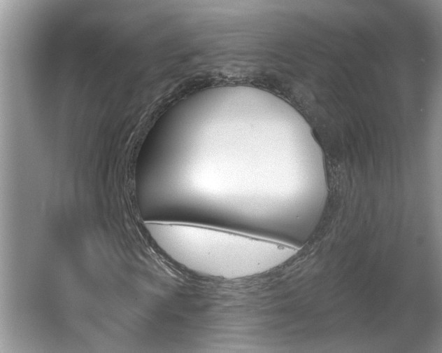 X0000067331009200603310853