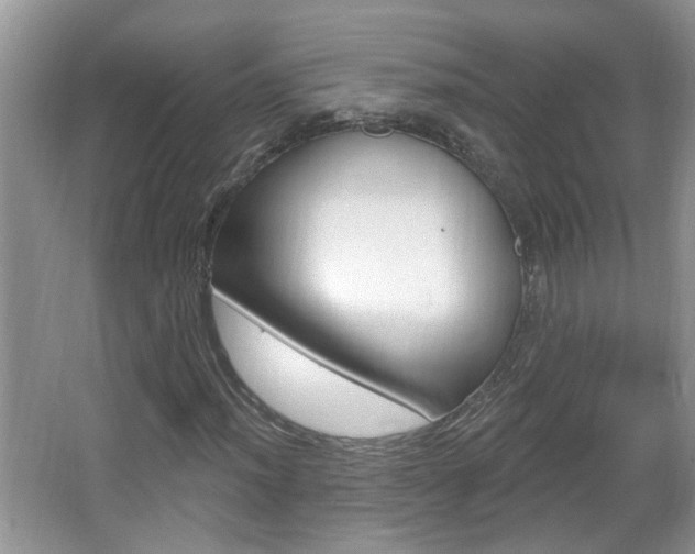 X0000067331012200603310853