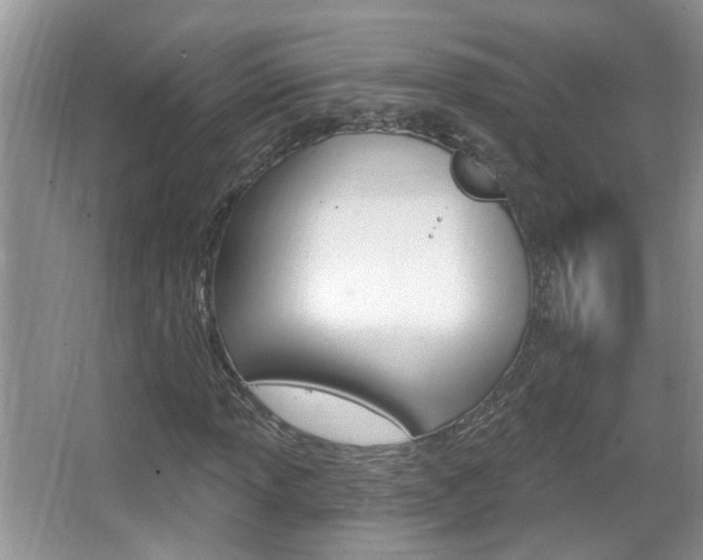 X0000067331013200603310853