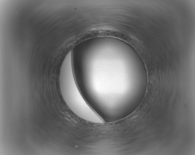 X0000067331014200603310853