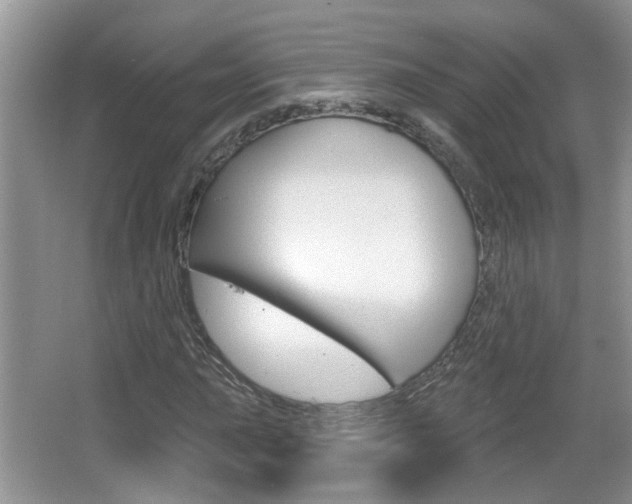 X0000067331015200603310853
