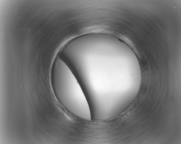 X0000067331051200603310853
