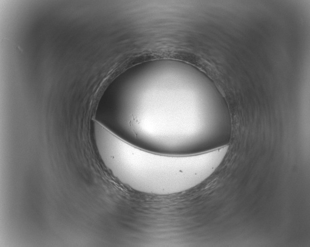 X0000067331057200603310853