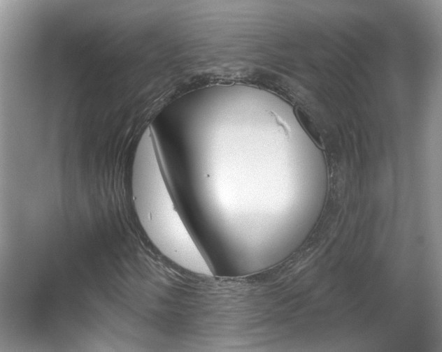 X0000067331058200603310853