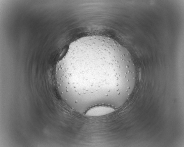 X0000067331059200603310853