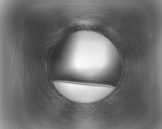 X0000067331061200603310853