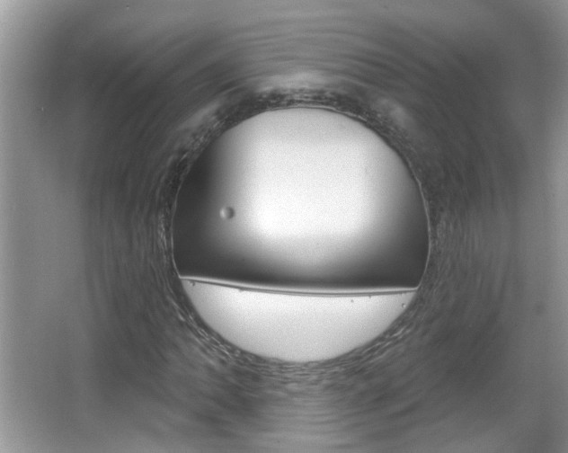 X0000067331062200603310853