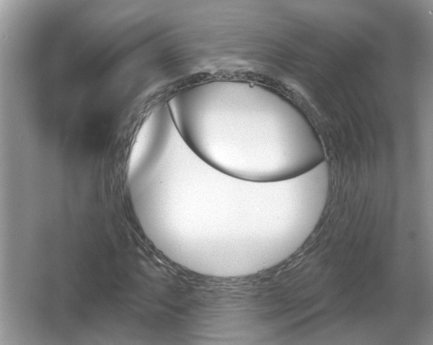 X0000067331063200603310852