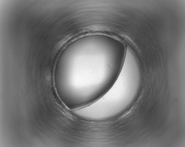 X0000067331065200603310852