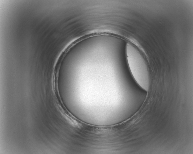 X0000067331076200603310852
