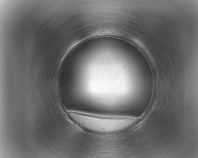X0000067331089200603310852