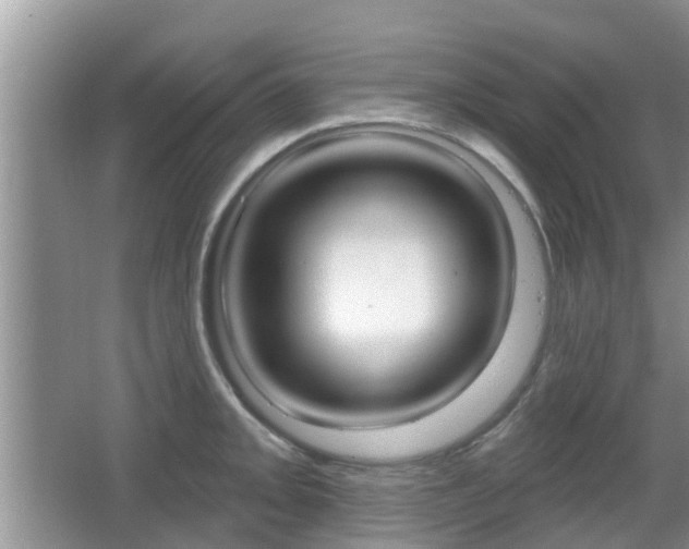 X0000067331093200603310852