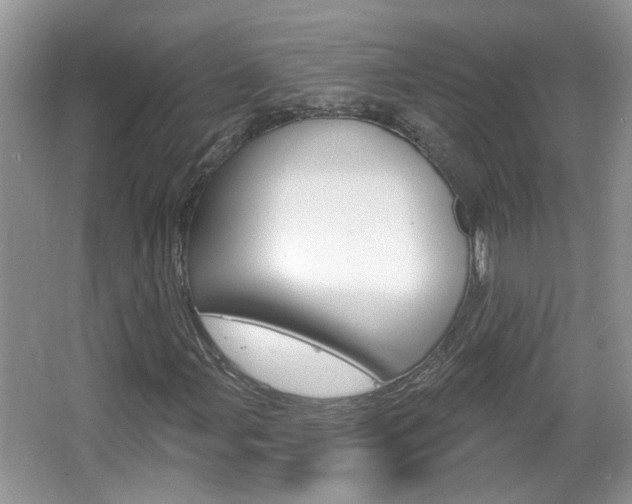 X0000067331107200603310851
