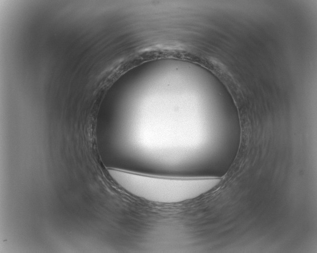 X0000067331110200603310851