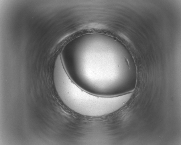 X0000067331112200603310851