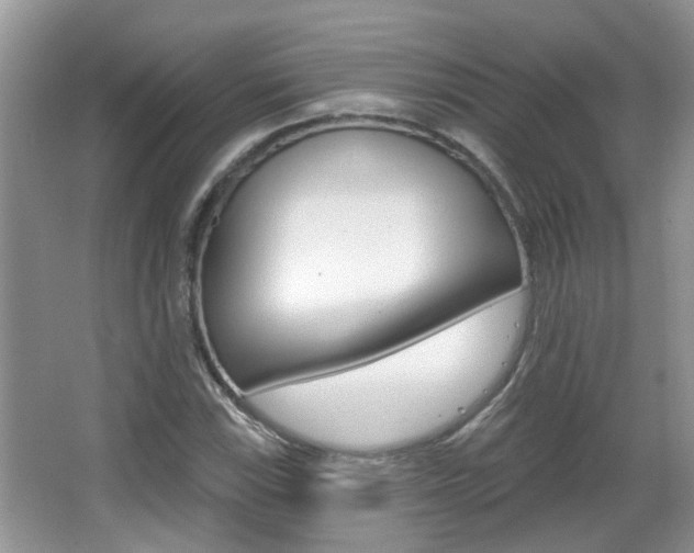 X0000067331115200603310851
