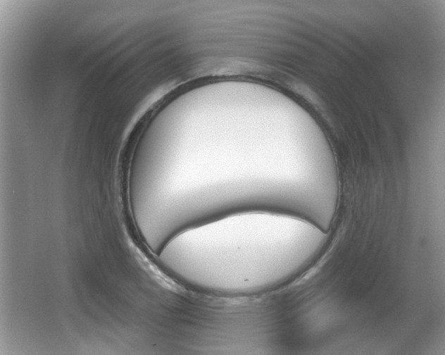 X0000067331122200603310851