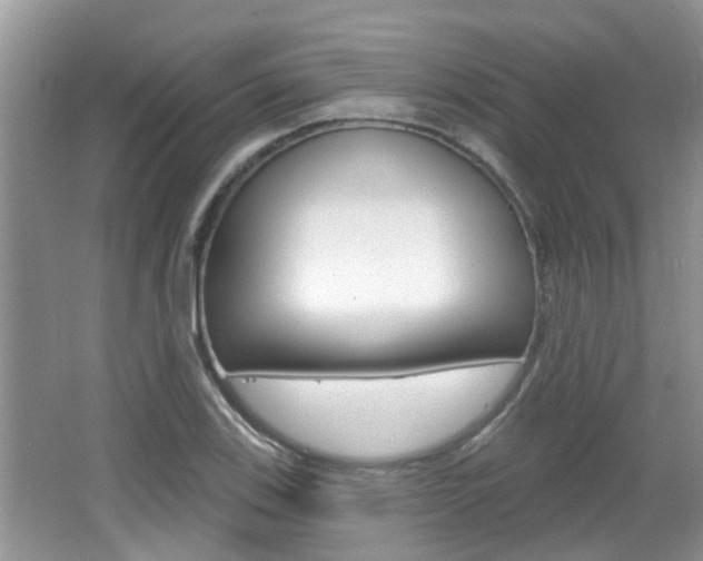 X0000067331123200603310851