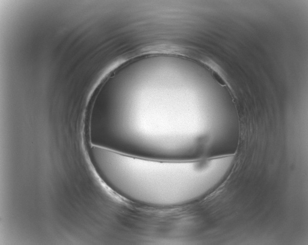 X0000067331139200603310852