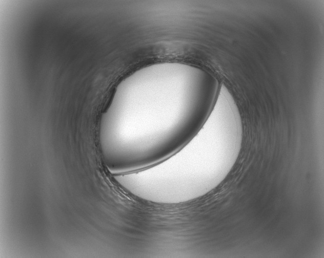 X0000067331153200603310851