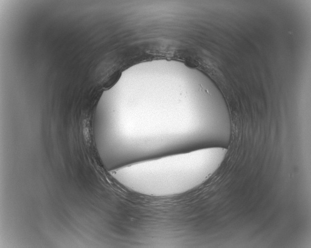 X0000067331154200603310851