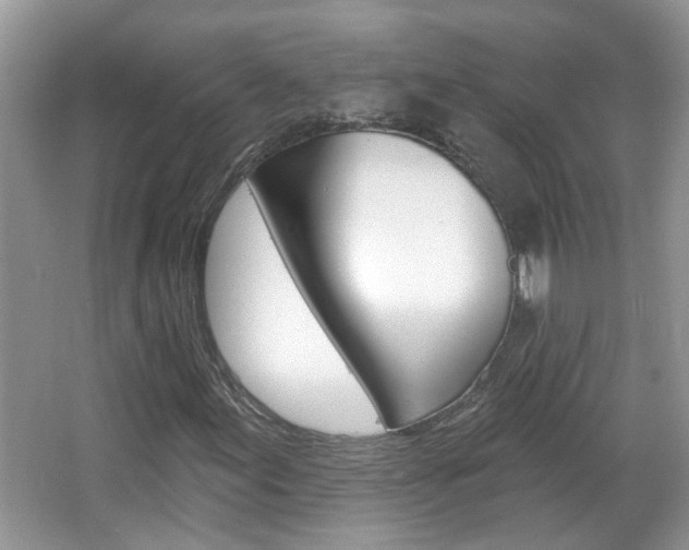 X0000067331155200603310851