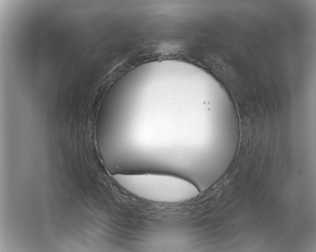 X0000067331158200603310851