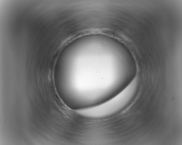X0000067331161200603310851