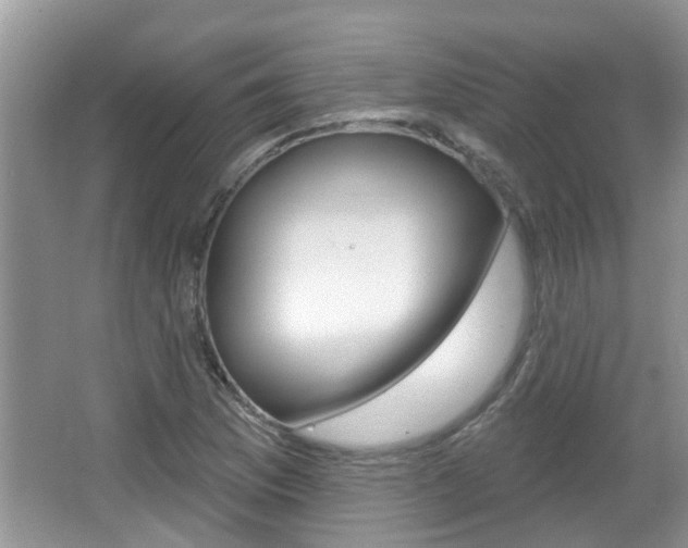 X0000067331169200603310851
