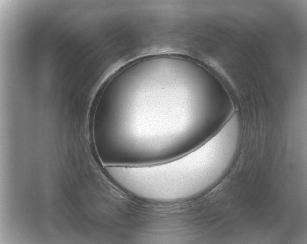 X0000067331173200603310851