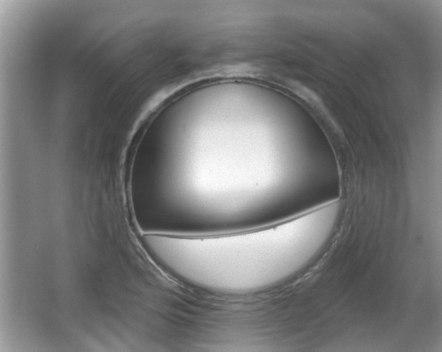 X0000067331176200603310851