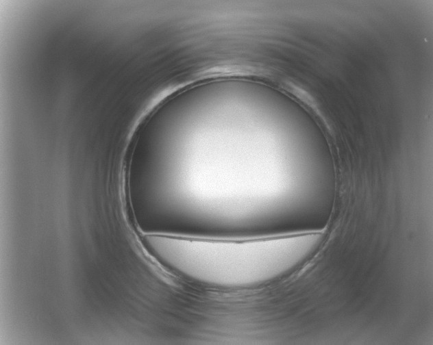 X0000067331179200603310851