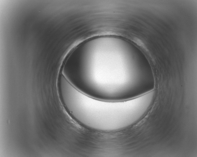 X0000067331181200603310851