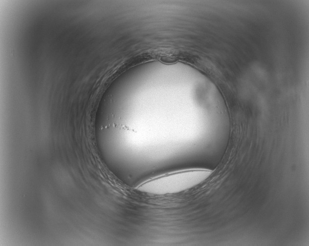 X0000067331201200603310849