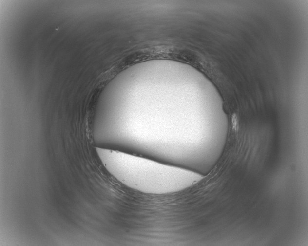 X0000067331203200603310849