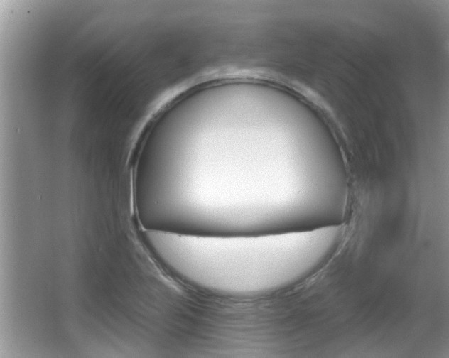 X0000067331223200603310850