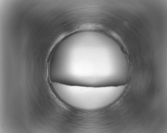 X0000067331227200603310850