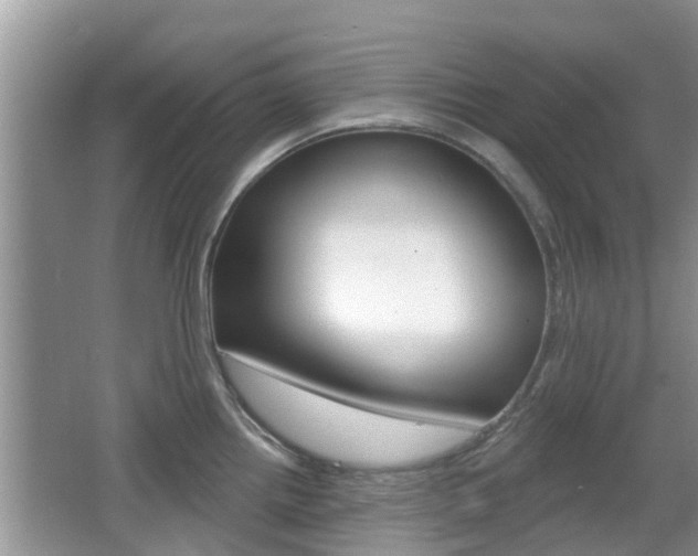 X0000067331242200603310850