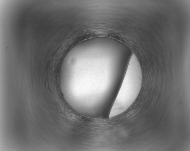 X0000067331249200603310849