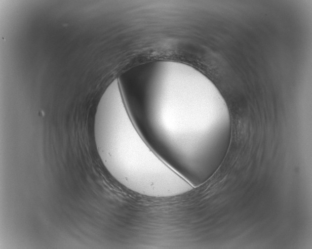 X0000067331250200603310849