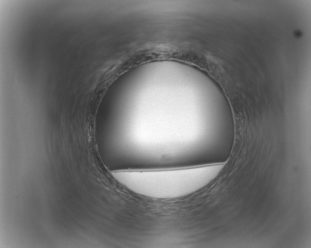 X0000067331253200603310849