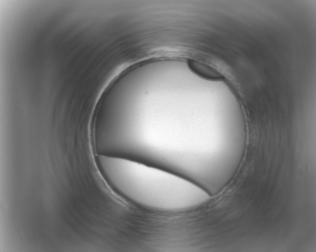 X0000067331283200603310849