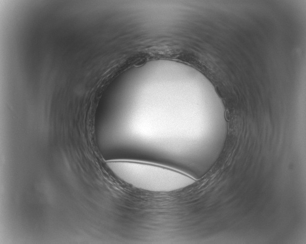 X0000067331297200603310848