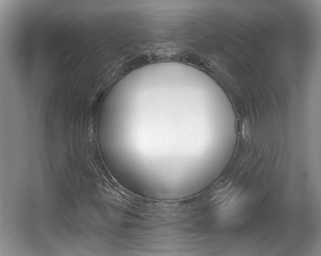 X0000067331299200603310848