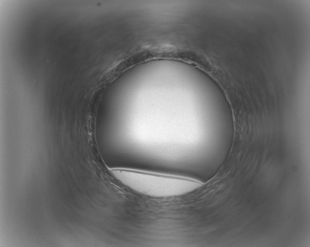 X0000067331301200603310848